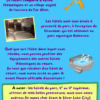 Capture d'écran 2026-05-31 204643 Guide numérique Europapark : Les Clés d'un séjour réussi