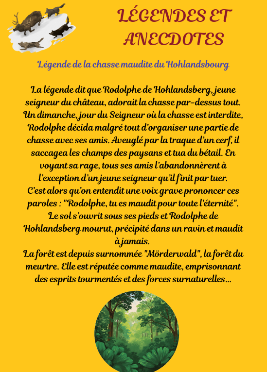 Capture d'écran 2026-05-31 201243 Guide numérique - Les Châteaux d'Alsace les mieux préservés